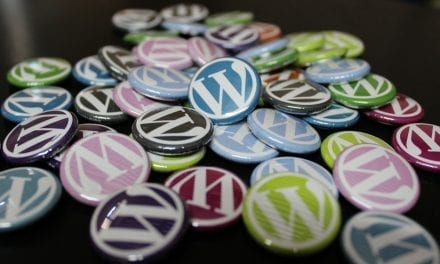 Checking An Improving Visibility Settings And URL Structures For Better WordPress SEO