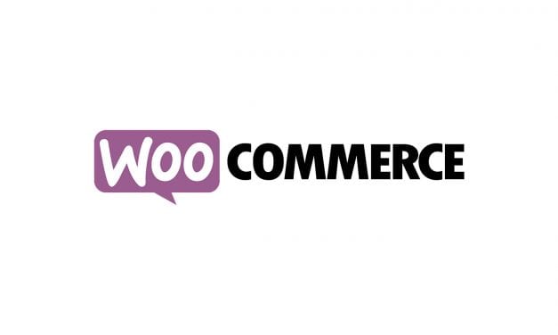 5 Incredibly Useful WOOCOMMERCE Tips For Small Businesses