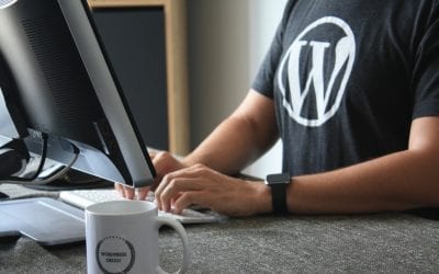 How A Web Development Company Can Optimise WordPress Sites
