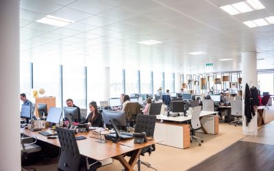 Do Small Businesses Need the Same Software as Large Corporations?