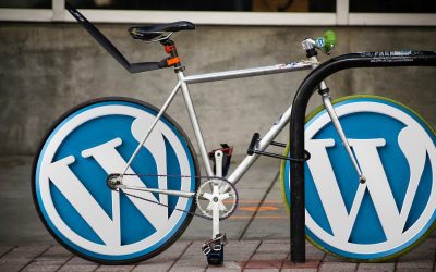 11 Issues You Can Expect During WordPress Migration (And How to Overcome Them!)