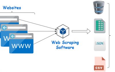 A Comprehensive Guide to Web Scraping Proxies