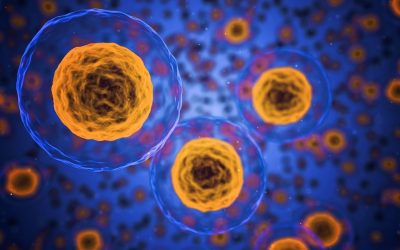 The rise of digital marketing in Life Sciences