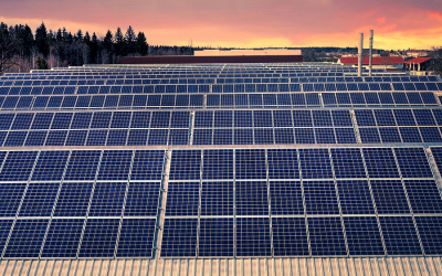 The Top Reasons Why More Businesses are Switching to Solar Today – and Why You Should, Too!
